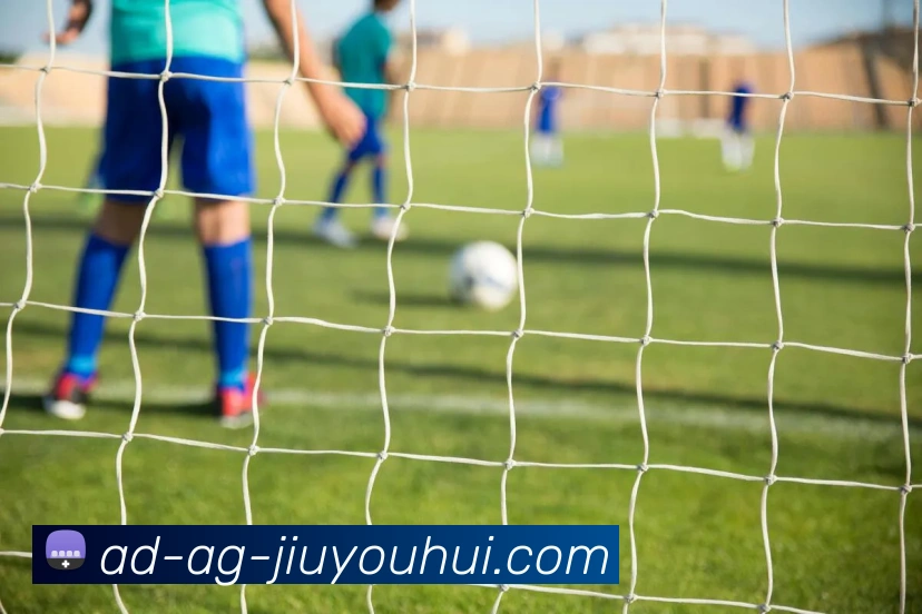 AG九游会官网平台生态图